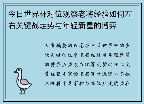 今日世界杯对位观察老将经验如何左右关键战走势与年轻新星的博弈